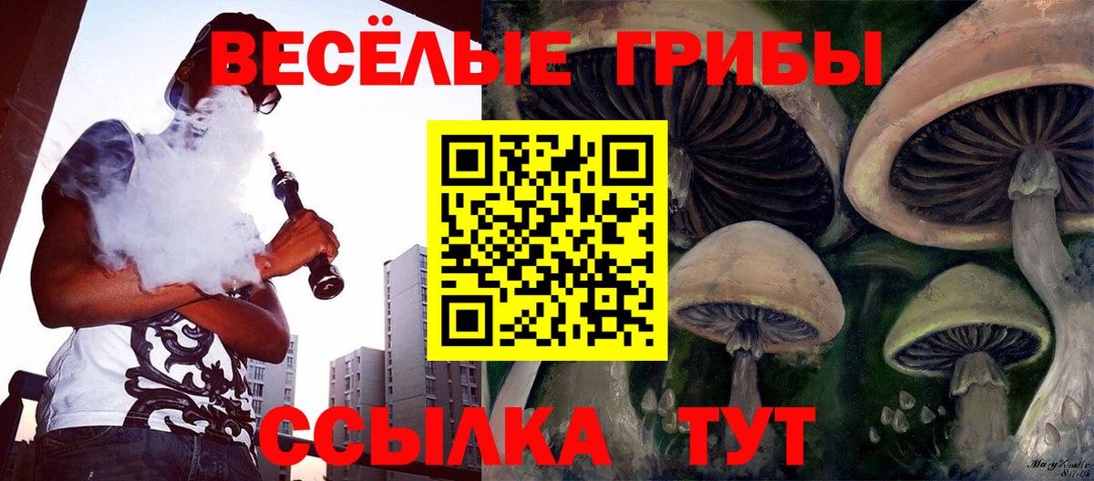 Галлюциногенные грибы MAGIC MUSHROOMS  Вход с VPN  купить  цена  Люберцы 